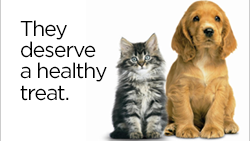 Raw Paws Pet - 50% Off Pet Food, Chews & Treats