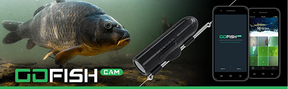 GoFish Cam Banner