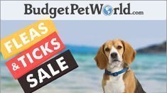 BudgetPetWorld - Affordable Pet Supplies Online at BudgetPetWorld.com.Shop Now And Earn 5% Cashback!