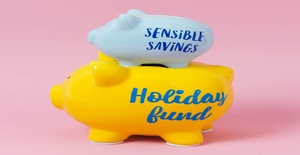 Sensiblesavings - The Access Bank Sensible Savings provide a convenient and straightforward way to gain the most from a customer’s hard-earned money.