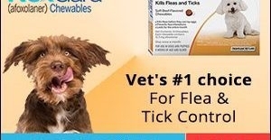 BudgetPetCare - BudgetPetCare offers a high quality pet health supplement products like flea & tick, joint care, eye and ear, wound care etc at budget price. FREE SHIPPING!Shop Now And Earn 5% Cashback!
