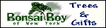 Bonsai Boy Logo