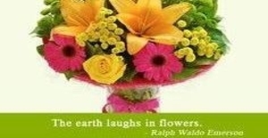 Flora2000 - Send flowers and gifts online for same day or next day international delivery to USA, Canada, UK, China & 190 countries worldwide.Order Now! Enjoy 6% Cashback!