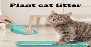 Ogcatlitter - The YCSJPET Company is at the forefront of creating eco-friendly, healthy alternatives for your furry-friend’s essentials.