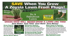 Zoysia Farms - Zoysia Farms is the leading supplier of zoysia grass plus to home owners.Order Now! Enjoy 5% Cashback!