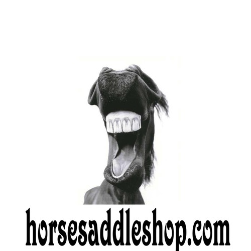 Horse Saddle Banner