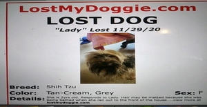 LostMyDoggie - $10 Off Finding Lost Pets