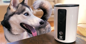 WOPET - WOpet was founded by a group of tech-savvy pet parents back in 2015. The idea was to deliver a quality life to our pets with innovative pet tech devices.