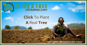Click A Tree - By planting trees, you do 3 good deeds – right from the comfort of your screen.